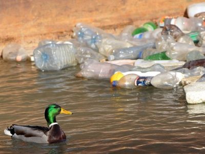 Unilever makes plastics commitment