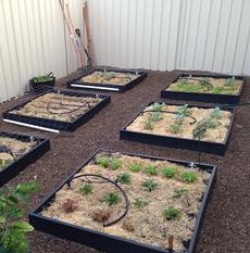 Creating an extra “green” garden with recycled cartridges