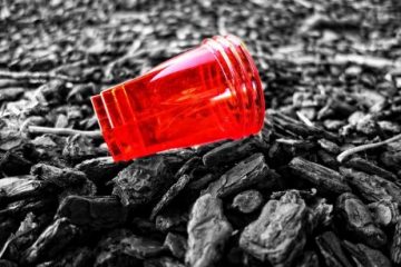 European Parliament passes plastics ban