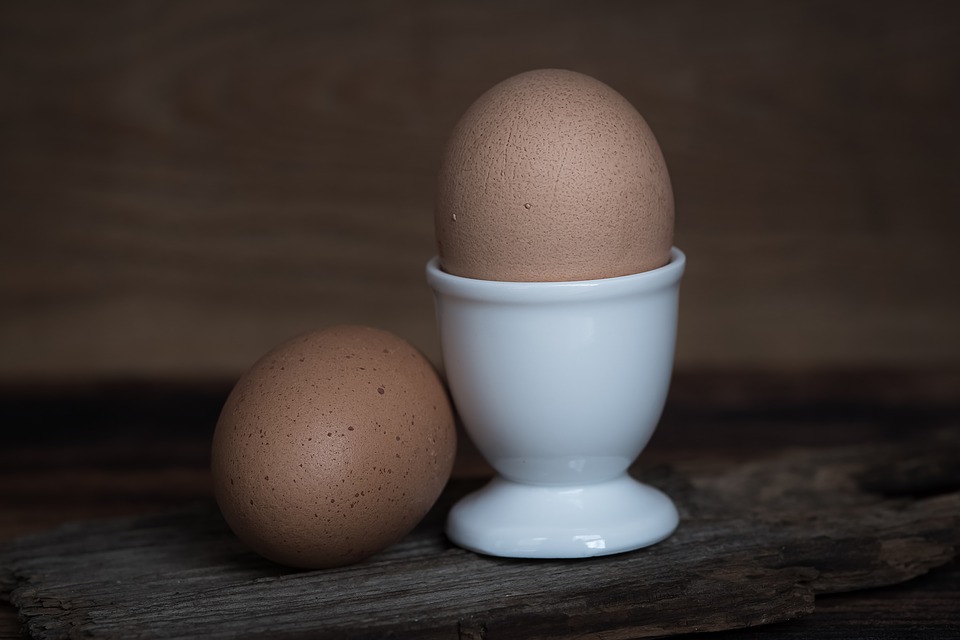  New inkjet improves egg traceability