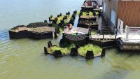 Recycled plastic park wows Rotterdam