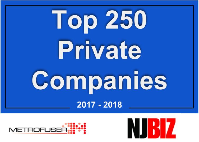 Metrofuser named in NJBIZ Top 250