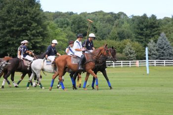 Equine fun and fundraising for Canon