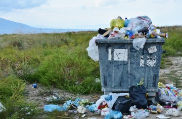 Investigation into UK plastic recycling industry