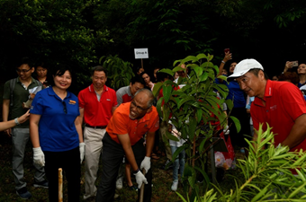 Ricoh reforests Sentosa