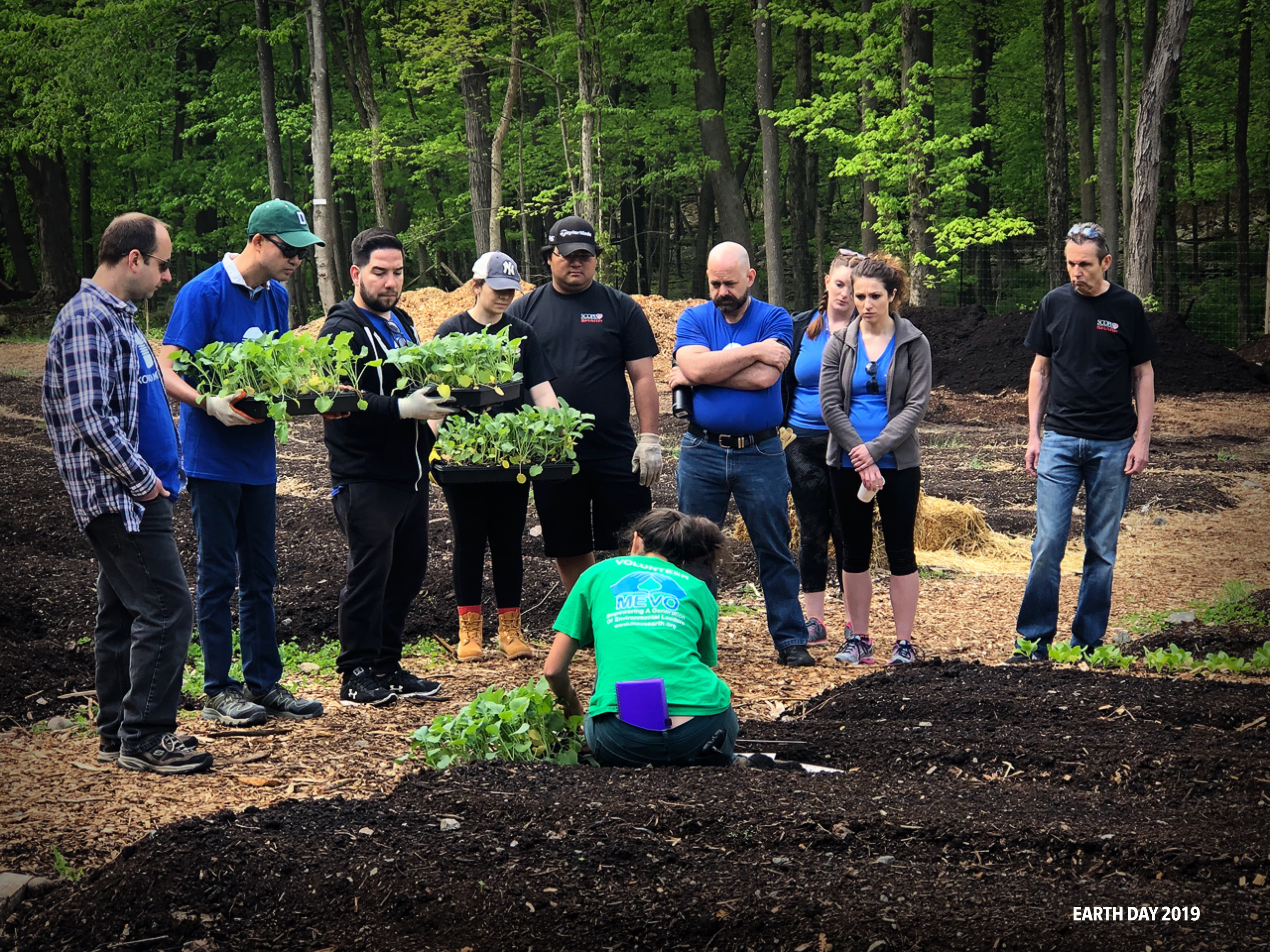 Konica Minolta partners with Arbor Day Foundation