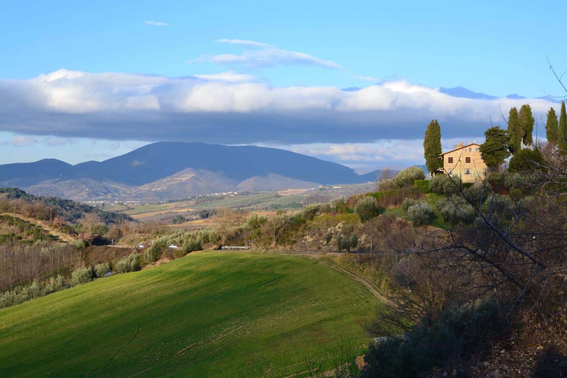 Italian association condemns countryside toner dumping